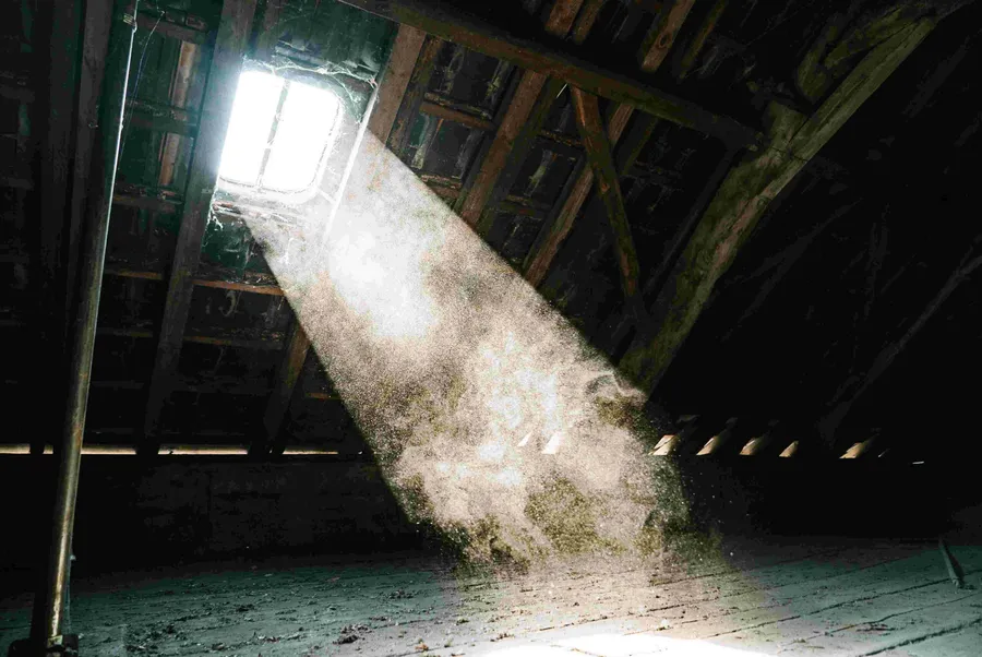 How to Improve Indoor Air Quality